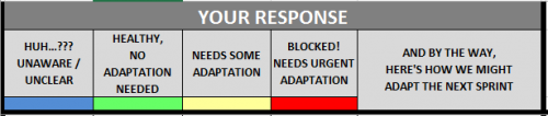 The Response Options